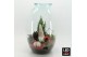 Arrangementen kerst XMAS-25314LED Kerst creatie terrarium 4 pp 