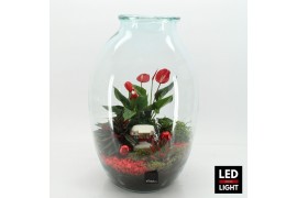 Arrangementen kerst XMAS-25316LED Kerst creatie terrarium 4 pp