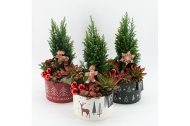 Arrangementen kerst XMAS-25023M Kerst creatie 4 pp