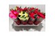 Euphorbia pul. mix Euphorbia 4 kleuren mix met hoes (kerststerren) 6 b 