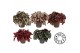 Begonia blad beleaf mix Bladbegonia Rex Mix in Floratino2 pp 
