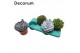Echeveria mix Echeveria Mix (4spc.) (decorum) 