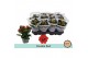 Kalanchoe bloss. rubio red Kalanchoë Double Redpp 