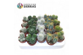 Cactus mix Sierras® - Granada Cactus Mix (Prime)1 pp