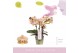 Phalaenopsis multiflora oranje Aromio Honey 3 spike 15 bl. 3 tak/plnt  