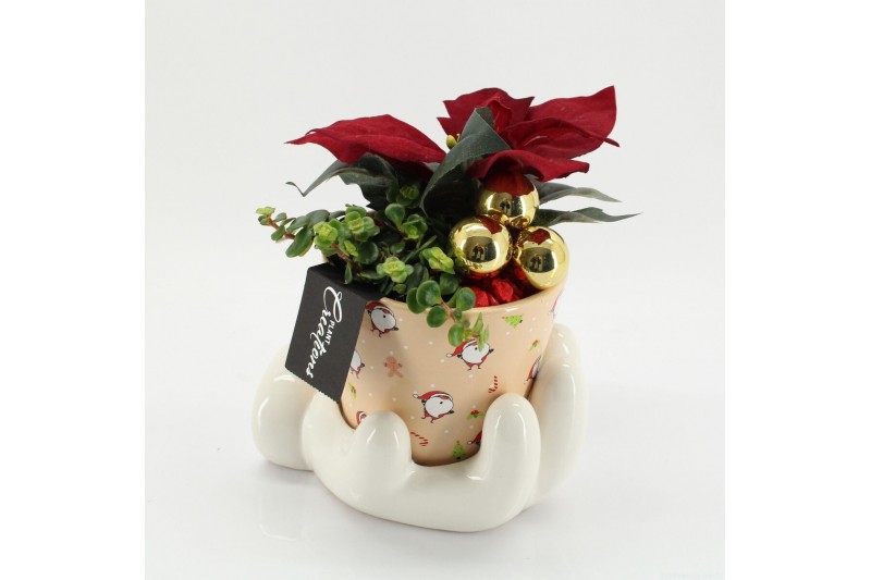 Arrangementen euphorbia pulcherrima POCR-2509 Poinsettia creatie 2 pp 