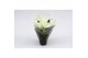 Euphorbia pul. princettia pure white Princettia Pure White 6cm met Hoe 