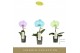 Phalaenopsis mix Singolo Aquarello Northern Light 1 bl. 1 tak/plnt 350 