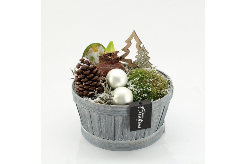 Arrangementen hippeastrum HICR-2532W Kerst Amaryllis 1 pp 