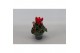 Cyclamen pers. super serie verano Cyclamen P7 Rood 12 cm diameter rood 