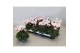 Cyclamen super serie verano Cyclamen P7 Victoria White with Eye 12 cm  