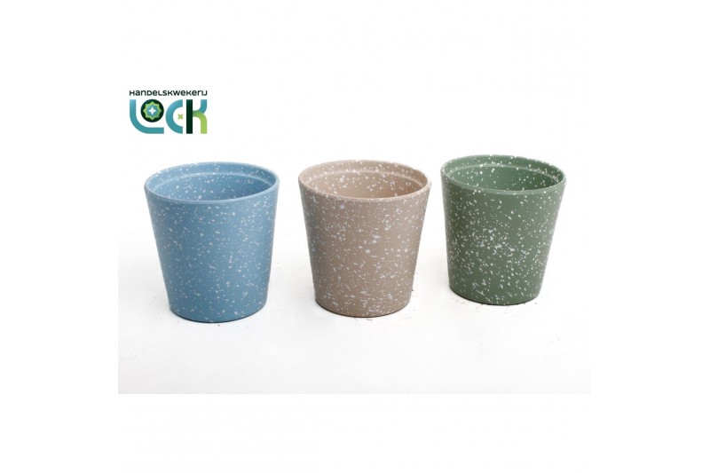 Keramische pot Aloe Haworthia Mix in Lina Keramiek 