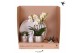 Phalaenopsis Kolibri Gift Set Hotel Chic silver 3 pp 24 bl. 3 tak/plnt 