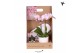 Phalaenopsis Kolibri Gift Set small Painting 2 pp 16 bl. 2 tak/plnt 
