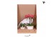 Phalaenopsis Kolibri Gift Set small Love 2 pp 16 bl. 2 tak/plnt 