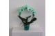 Phalaenopsis Wonder Spiegelboog Green18 bl. 2 tak/plnt 