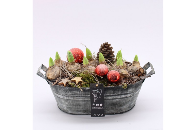 Arrangementen hyacinthus XHF-2527 Xmas Hyacint Fundamentals 3 pp 