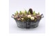 Arrangementen hyacinthus XHF-2528 Xmas Hyacint Fundamentals 3 pp 