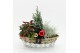 Arrangementen tuinplanten ODXM-2503 Xmas Outdoor 3 pp 