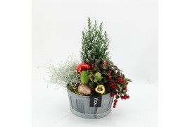 Arrangementen tuinplanten ODXM-2510 Xmas Outdoor 4 pp