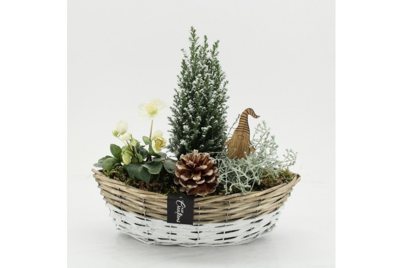 Arrangementen tuinplanten ODXM-2538 Xmas Outdoor 3 pp 