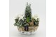 Arrangementen tuinplanten ODXM-2539 Xmas Outdoor 4 pp 