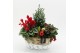 Arrangementen tuinplanten ODXM-2504 Xmas Outdoor 4 pp 