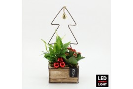Arrangementen kerst XMAS-25250LED Kerst creatie 2 pp