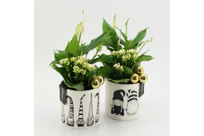 Arrangementen kerst XMAS-25277 Kerst creatie 2 pp 