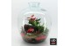 Arrangementen kerst XMAS-25320LED Kerst creatie terrarium 5 pp 