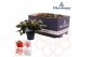 Rhododendron simsii hortinno collectie mix Hortinno® Home gemengd 25 - 