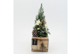 Arrangementen tuinplanten ODXM-2540 Xmas Outdoor 2 pp