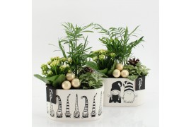 Arrangementen kerst XMAS-25280 Kerst creatie 3 pp