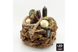 Arrangementen hippeastrum HICR-2524WLED Kerst Amaryllis 2 pp