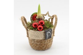 Arrangementen hippeastrum HXFD-2507R Xmas Amaryllis Fundamentals 1 pp