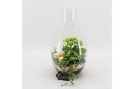 Arrangementen kamerplanten BAXM-2506W Xmas Fundamentals terrarium 3 pp