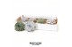 Echeveria mix ROOTLESS Echeveria mix 12-14 cm, solo 