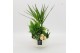 Arrangementen kamerplanten BAXM-2510W Xmas Fundamentals 4 pp 