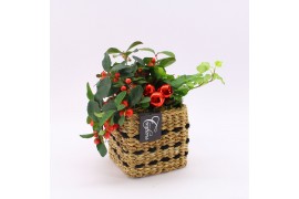 Arrangementen gaultheria l% GACR-2506 Gaultheria creatie 2 pp