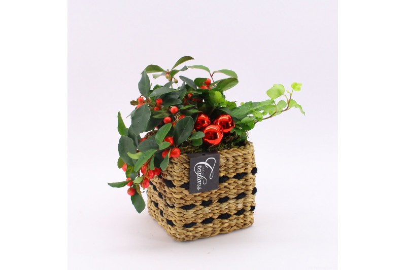 Arrangementen gaultheria l% GACR-2506 Gaultheria creatie 2 pp 