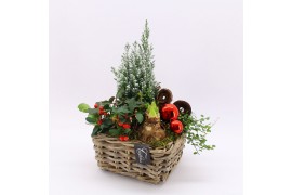 Arrangementen gaultheria GACR-2514 Gaultheria creatie 4 pp