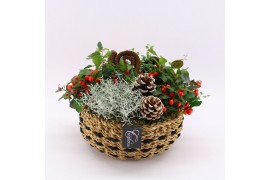 Arrangementen gaultheria GACR-2524 Gaultheria creatie 4 pp