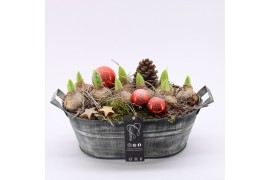 Arrangementen hyacinthus XHF-2527 Xmas Hyacint Fundamentals 3 pp