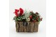 Arrangementen tuinplanten ODXM-2502 Xmas Outdoor 3 pp 