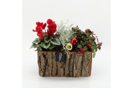 Arrangementen tuinplanten ODXM-2502 Xmas Outdoor 3 pp