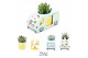 Arrangementen succulenten WOW Succulent, Mug and bunny1 pp 