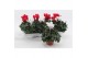 Cyclamen pers. midi super serie macro Cyclaam Macro Red & White22 cm d 
