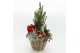 Arrangementen tuinplanten ODXM-2508 Xmas Outdoor 5 pp 