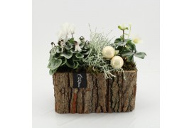 Arrangementen tuinplanten ODXM-2514 Xmas Outdoor 3 pp