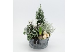 Arrangementen tuinplanten ODXM-2522 Xmas Outdoor 4 pp